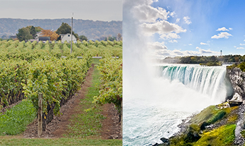 niagara wine tour shuttle